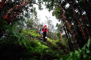 BIB: 
                            <button type="button" onclick="openModal(26203581)" class="btn btn-primary btn-sm float-right btn-popup" data-toggle="modal" data-target=".modal-high-quality">
                        <i class="fas fa-shopping-cart"></i> Add to Cart
                    </button>
                                            <button type="button" onclick="isThisMe(26203581, true)" class="btn btn-success btn-sm float-right btn-popup btn-isme hidden" data-toggle="tooltip" data-placement="bottom" title="นี่คือรูปของคุณใช่ไหม คลิกที่นี่เพื่อเอาเข้าอัลบั้ม">
                        <i class="fas fa-plus"></i> Add to album
                    </button>
                    <button type="button" onclick="isThisMe(26203581, false)" class="btn btn-warning btn-sm float-right btn-popup btn-isnotme hidden">
                        <i class="fas fa-ban"></i> Remove from album
                    </button>